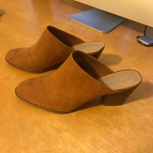 Chestnut Mules